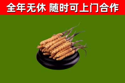 伊金霍洛旗烟酒回收冬虫夏草.jpg